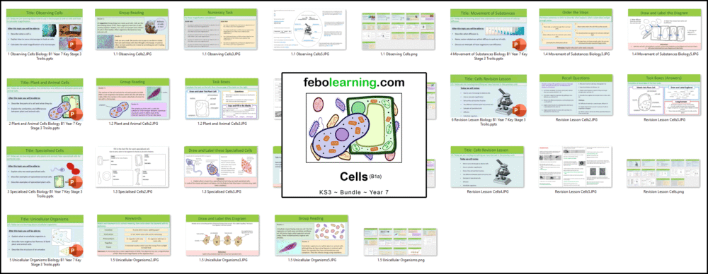 KS3 Cells Bundle Year 7