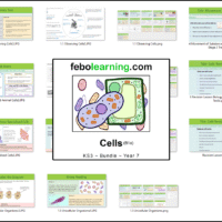 KS3 Cells Bundle Year 7
