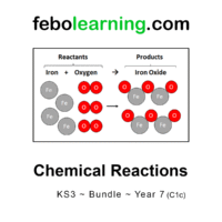 Key Stage 3 The Complete Year 7 Science Bundle