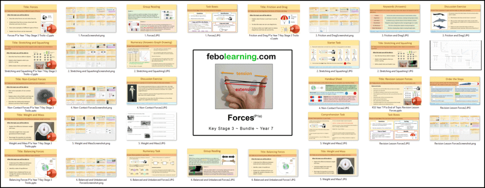 KS3 Forces Bundle Year 7