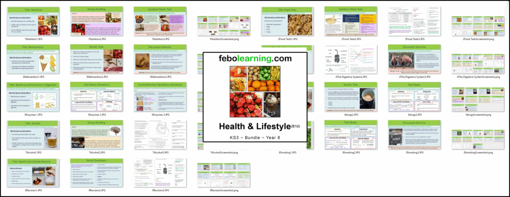 KS3 Health Bundle Year 8