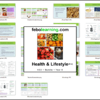 KS3 Health Bundle Year 8