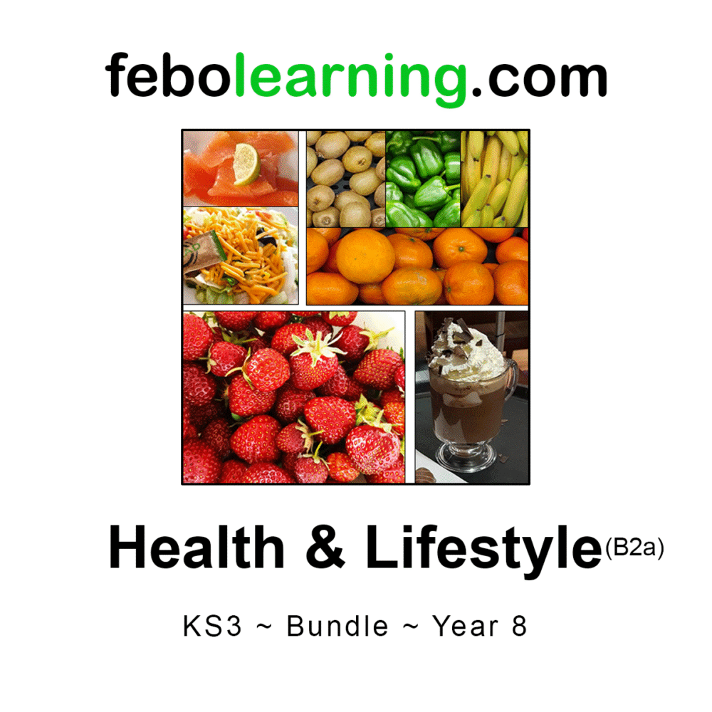 KS3 Health Bundle Year 8