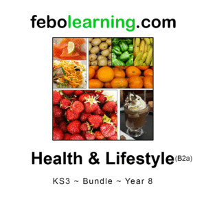 KS3 Health Bundle Year 8