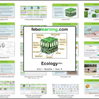 KS3 Ecology Bundle Year 8