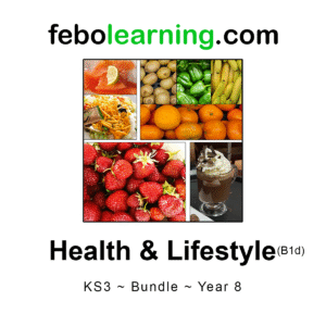 KS3 Health Bundle Year 8