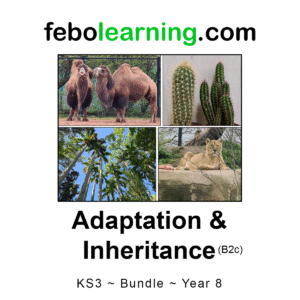 KS3 Adaptation and Inheritance Bundle Year 8