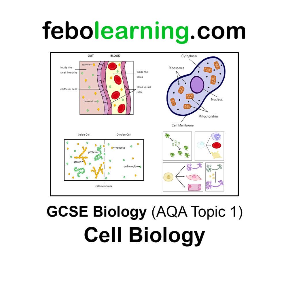 GCSE Biology The Complete Mega Bundle Topics 1-7
