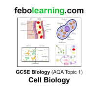GCSE Biology The Complete Mega Bundle Topics 1-7