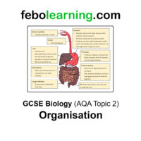 GCSE Biology The Complete Mega Bundle Topics 1-7