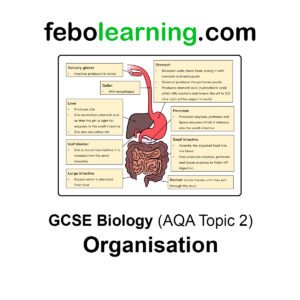 GCSE Biology AQA Topic 2 Organisation Full Lessons