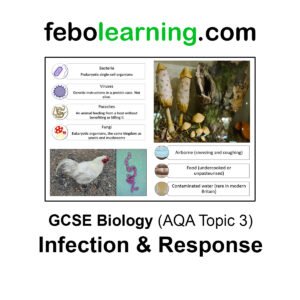 GCSE Biology AQA Topic 3 Infection and Response Full Lessons