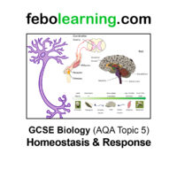 GCSE Biology The Complete Mega Bundle Topics 1-7