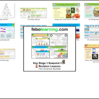 Key Stage 3 Science Seasonal Revision Lessons Bundle