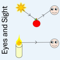 KS2 Eyes and Sight (Free)