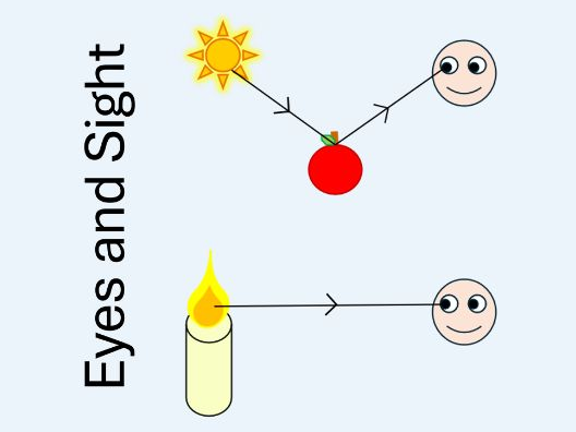 KS2 Eyes and Sight (Free)