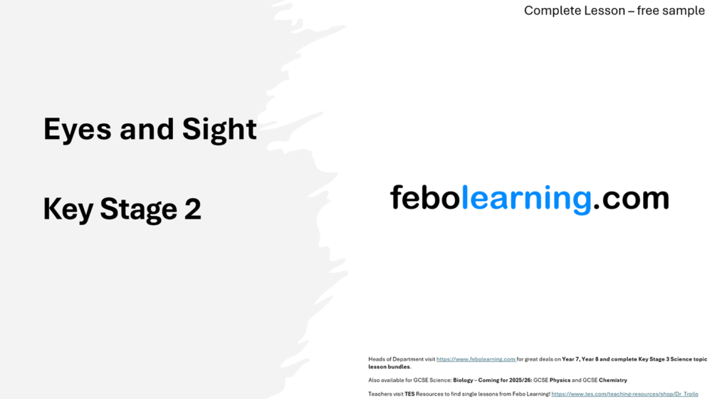KS2 Eyes and Sight (Free)
