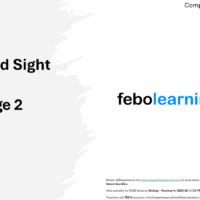 KS2 Eyes and Sight (Free)