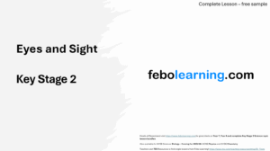 KS2 Eyes and Sight (Free)