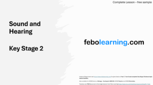 KS2 Sound and Hearing (Free)