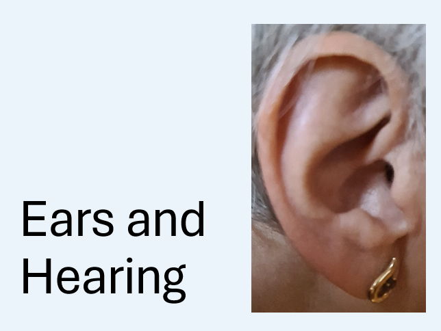 KS2 Sound and Hearing (Free)