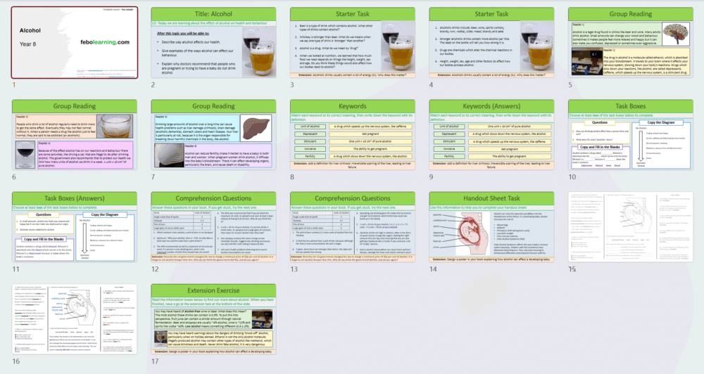 Year 8 Alcohol (Free)