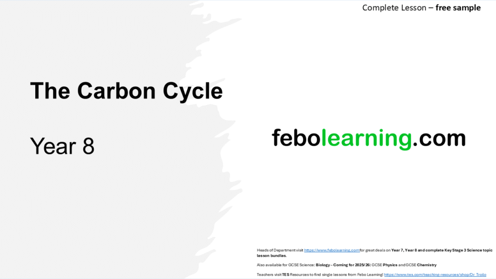 Year 8 Carbon Cycle (Free)