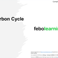 Year 8 Carbon Cycle (Free)