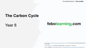Year 8 Carbon Cycle (Free)