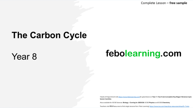 Year 8 Chemistry: The Carbon Cycle complete lesson with Activities ...