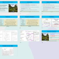 Year 8 Carbon Cycle (Free)
