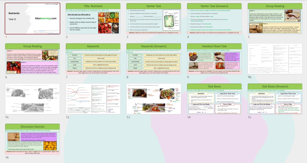 Year 8 Nutrients (Free)