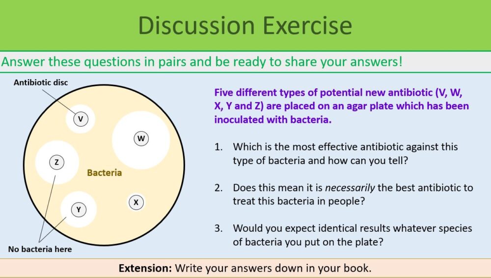 This is a screenshot image that captures the Discussion Exercise slide for this lesson. The text can be seen, but only the title intended to be readable.