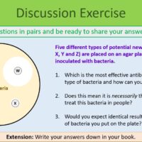 This is a screenshot image that captures the Discussion Exercise slide for this lesson. The text can be seen, but only the title intended to be readable.