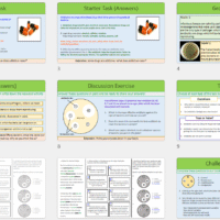 This is a screenshot image that captures the thumbnail slides contained in Key Stage 3 Biology Antibiotics part 1. These are for illustrative purposes only.