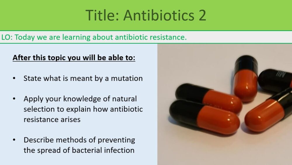 This is a screenshot image that captures the Title and Learning Objectives slide for this lesson. This image is for illustrative purposes only.