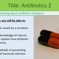 This is a screenshot image that captures the Title and Learning Objectives slide for this lesson. This image is for illustrative purposes only.