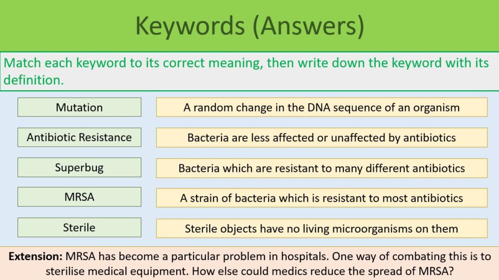 This is a screenshot image that captures the "Keywords" slide for this lesson. This image is for illustrative purposes only.