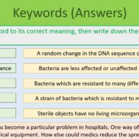 This is a screenshot image that captures the "Keywords" slide for this lesson. This image is for illustrative purposes only.