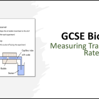 2 Measuring Transpiration Rate GCSE Biology TITLE GCSE Biology Topic 2 Organisation: Measuring Transpiration Rate title slide