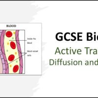 Active-Transport-diffusion-osmosis-Title Title slide graphic for GCSE Biology Topic 1 Cells: Diffusion Osmosis and Active Transport