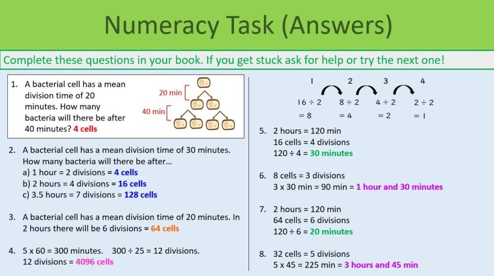Preview of Numeracy Task slide for GCSE Biology Binary Fission and Culturing Bacteria lesson.