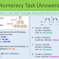 Preview of Numeracy Task slide for GCSE Biology Binary Fission and Culturing Bacteria lesson.
