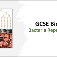 Title slide graphic for GCSE Biology Binary Fission and Culturing Bacteria lesson.