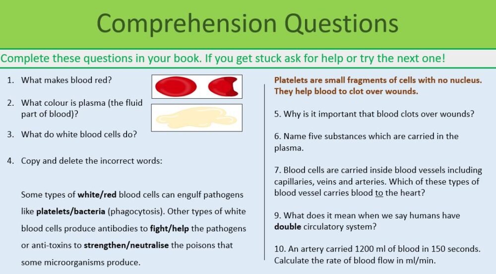 Comprehension Questions slide