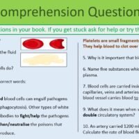 Comprehension Questions slide