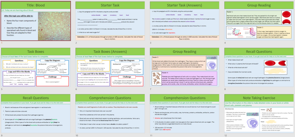 Thumbnails of lesson slides
