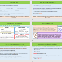 Thumbnails of lesson slides