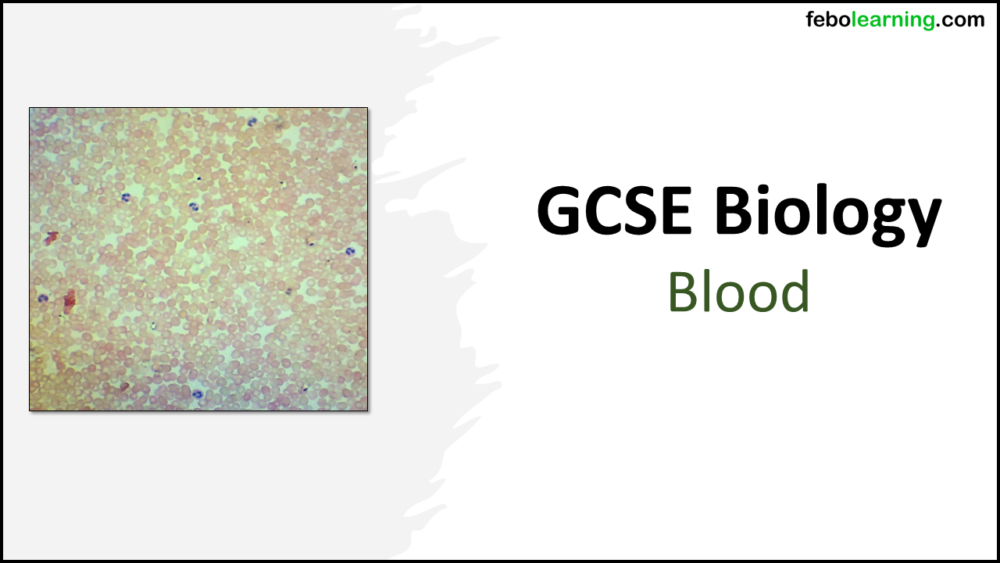 Title graphic for GCSE Biology Lesson: Blood