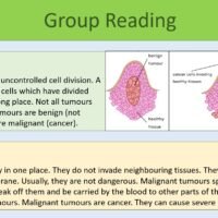 Preview of Group Reading Task